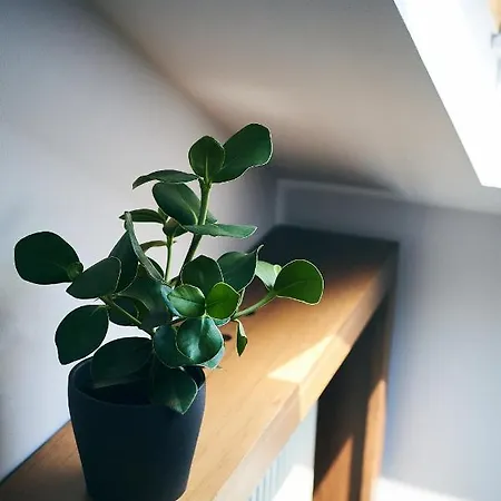 Barrio ゲストハウス ブカレスト